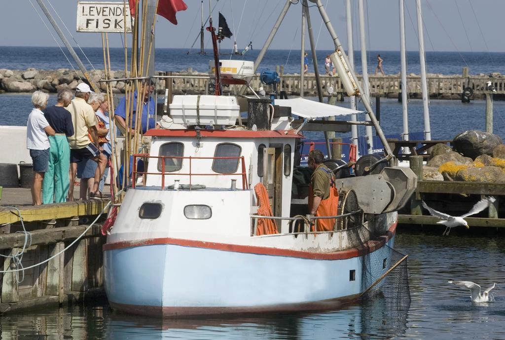 Ballen Badehotel Tranebjerg Kültér fotó